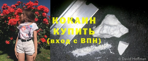 кокс Аркадак