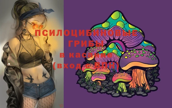 твердый Алзамай
