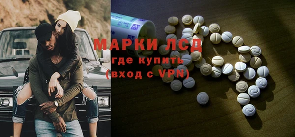 твердый Алзамай