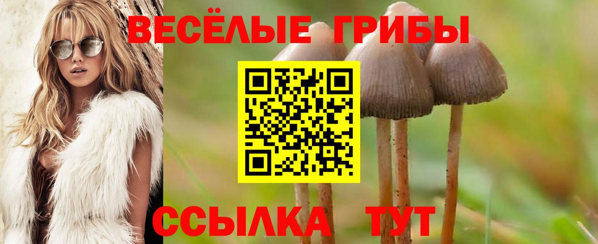 Новороссийск  Псилоцибиновые грибы мицелий  Псилоцибиновые грибы мухоморы  Вход с VPN 