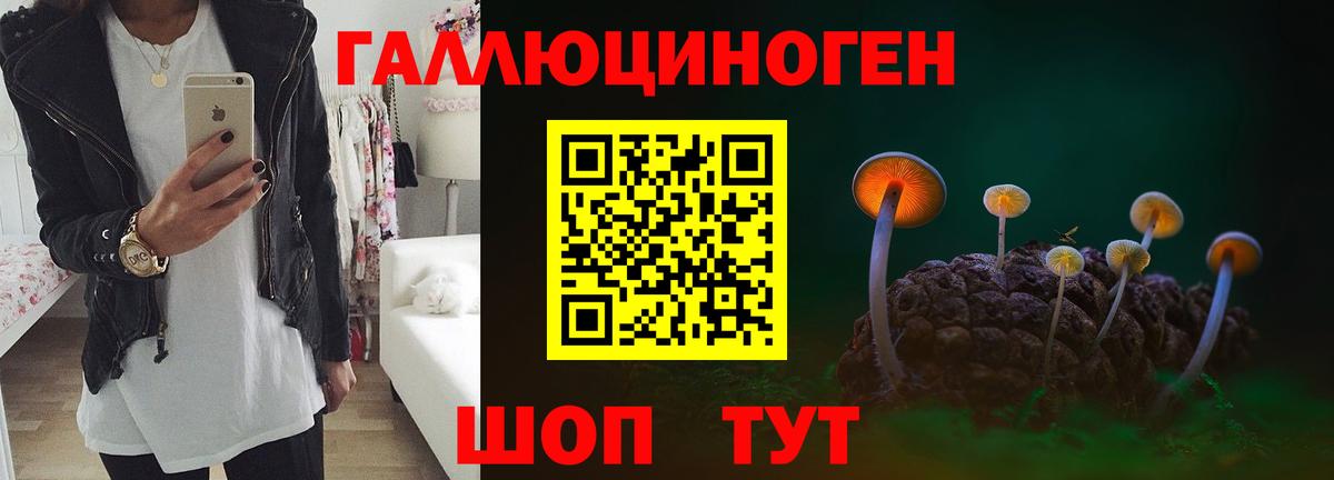 Галлюциногенные грибы GOLDEN TEACHER Новороссийск